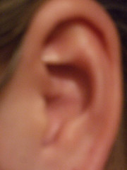 DSCF4686