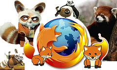 Shifu was Firefox!